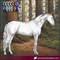 Horse Color:Silver Bay Dun Splash Tobiano Frame Rabicano 