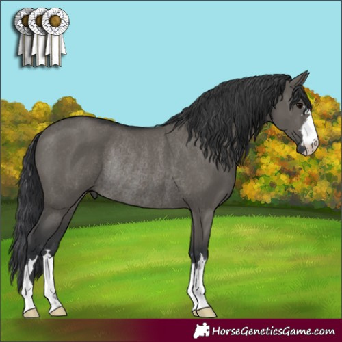 Horse Color:Grullo Rabicano