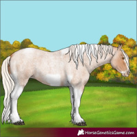Horse Color:Silver Blue Roan Pearl Tobiano Frame 