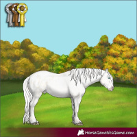 Horse Color:Silver Sable Cream Champagne Pearl Dun Sabino Tobiano Blanket Rabicano