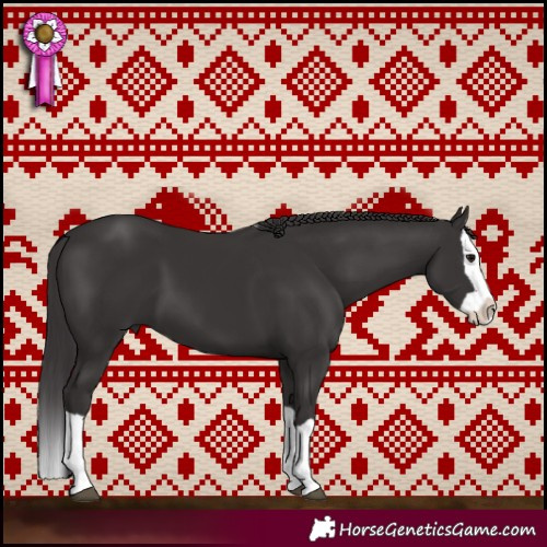 Horse Color:Smoky Black Splash 
