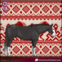 Horse Color:Smoky Black Splash