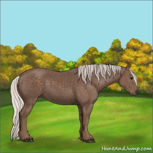 Horse Color:Silver Black