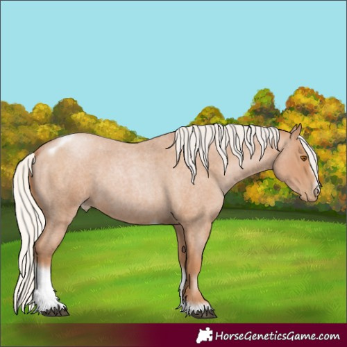 Horse Color:Silver Blue Roan Pearl Tobiano Frame 