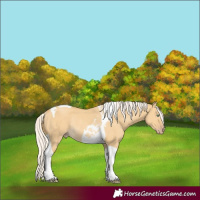 Horse Color:Silver Classic Cream Champagne Dun Tobiano Rabicano 