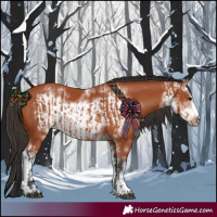 Horse Color:Bay Sabino  and Bay Sabino Frame 