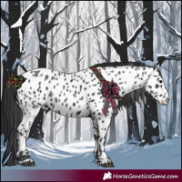 Horse Color:Black Appaloosa Rabicano 