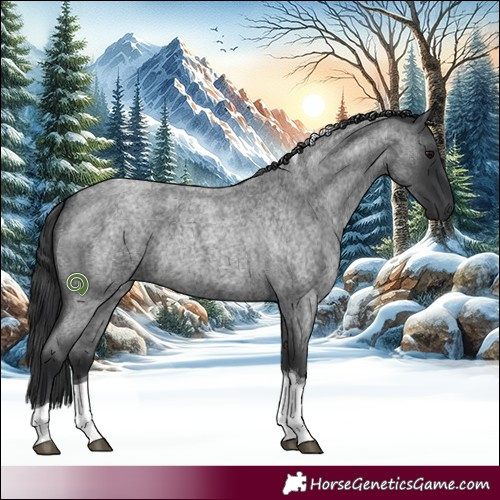 Horse Color:Blue Roan Tobiano Rabicano