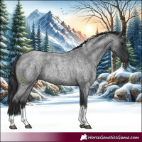 Horse Color:Blue Roan Tobiano Rabicano