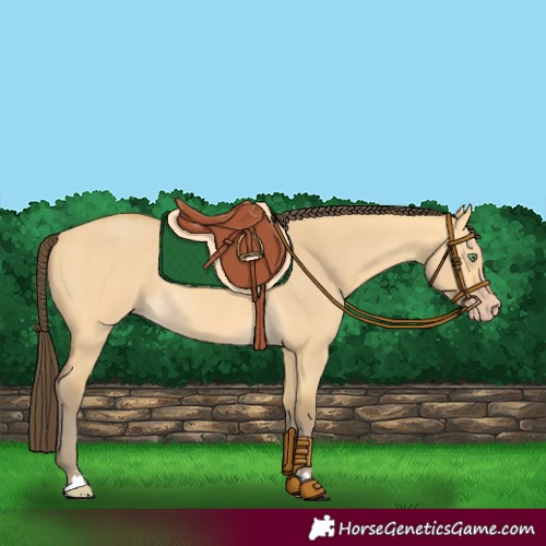 Horse Color:Amber Cream Champagne Dun Rabicano 