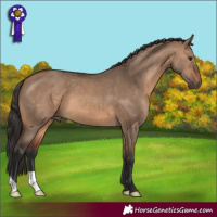 Horse Color:Brown Dun