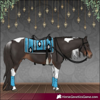 Horse Color:Liver Chestnut Tobiano 