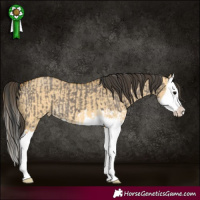 Horse Color:Grullo Splash  and Buckskin Dun Splash 