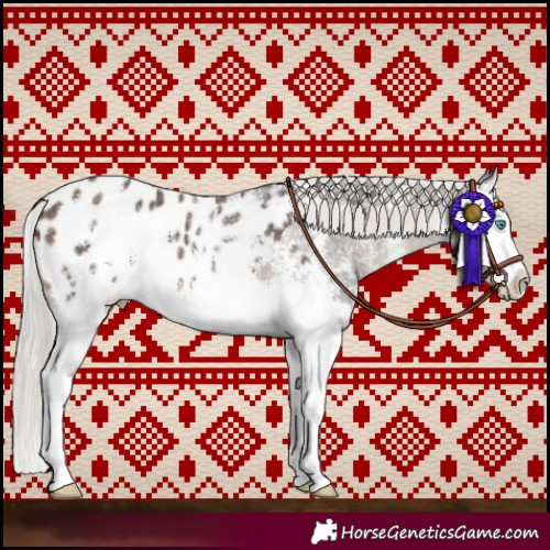 Horse Color:Silver Brown Sabino Splash Appaloosa 