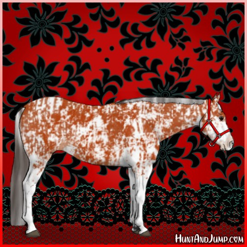 Horse Color:Bay Sabino  and Bay Sabino 