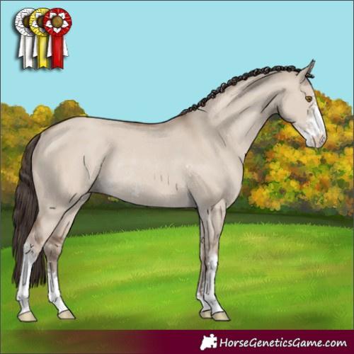 Horse Color:Classic Champagne Dun Sabino Rabicano 