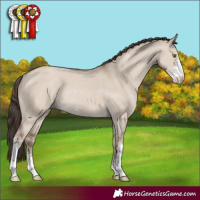 Horse Color:Classic Champagne Dun Sabino Rabicano 