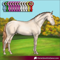 Horse Color:Classic Champagne Pearl Dun 