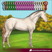 Horse Color:Classic Champagne Pearl Dun
