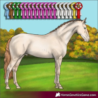 Horse Color:Classic Champagne Pearl Dun 