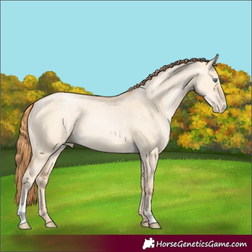 Horse Color:Classic Champagne Pearl Dun Sabino 