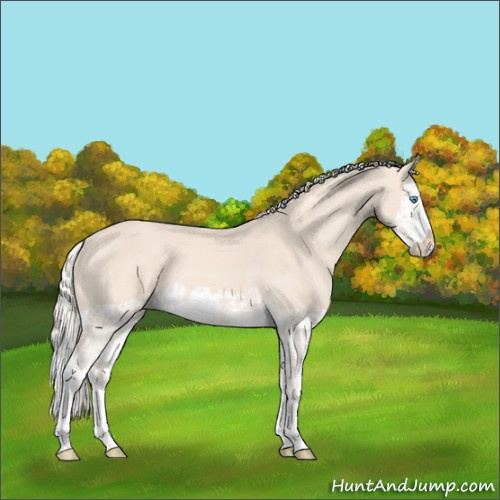 Horse Color:Cremello Splash  and Cremello Splash 