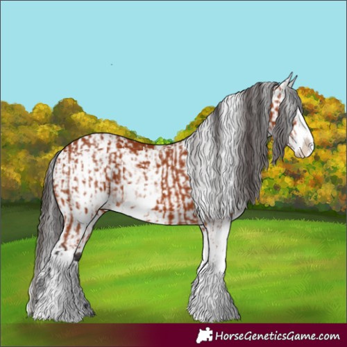 Horse Color:Bay Sabino  and Bay Sabino Splash 