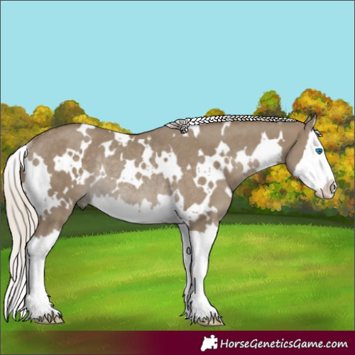 Horse Color:White Spotted Silver Smoky Grullo Splash Rabicano 