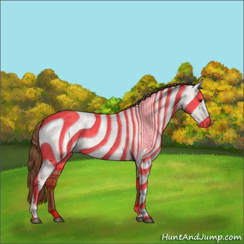 Horse Color:Red Dun Blanket  and Red Dun Blanket 
