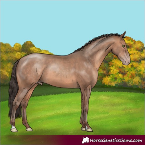 Horse Color:Sable Champagne 