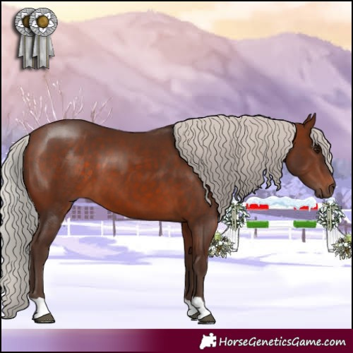 Horse Color:Silver Brown 