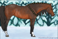 Horse Color:Bay Rabicano  and Brown Rabicano 