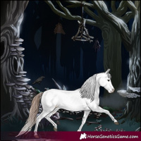 Horse Color:Bay Roan Appaloosa 