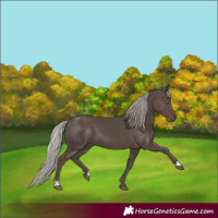 Horse Color:Silver Black 