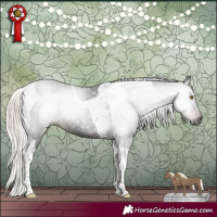 Horse Color:Gray Liver Chestnut Mushroom Tobiano 