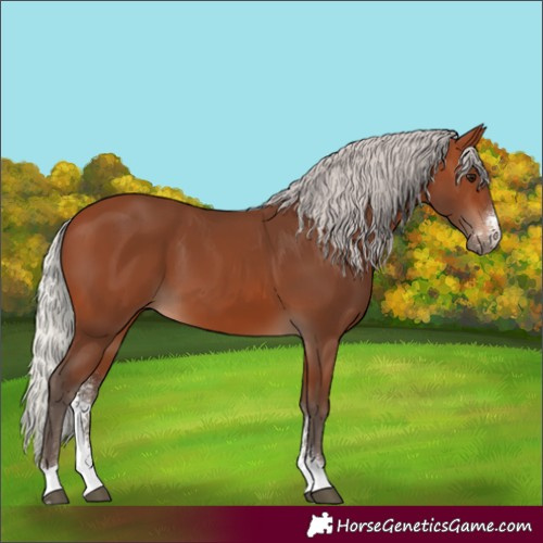 Horse Color:Silver Brown Sabino 