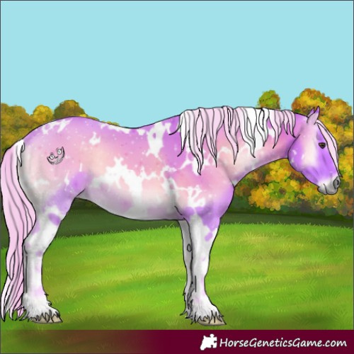 Horse Color:Watercolor White Spotted Palomino Onyx 