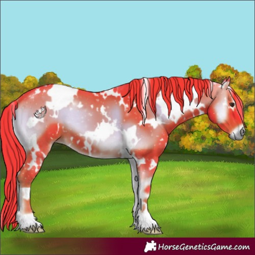 Horse Color:Watercolor White Spotted Liver Red Onyx 