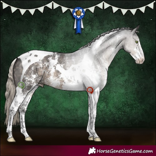 Horse Color:Silver Smoky Black Sabino Tobiano 