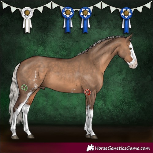 Horse Color:White Spotted Silver Brown Dun Splash 