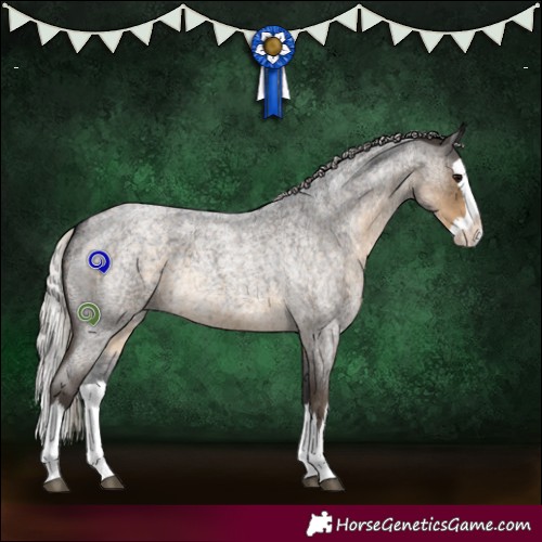 Horse Color:Silver Smoky Blue Roan Splash 