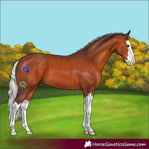 Horse Color:White Spotted Silver Brown Splash 