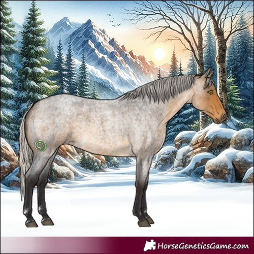 Horse Color:Silver Buckskin Roan Rabicano 