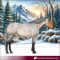 Horse Color:Silver Buckskin Roan Rabicano