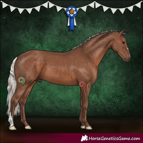 Horse Color:Silver Black 