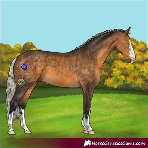 Horse Color:Silver Buckskin 