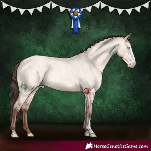 Horse Color:Sable Champagne Roan Dun Sabino Rabicano 