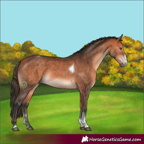Horse Color:Bay Sabino Tobiano Rabicano 