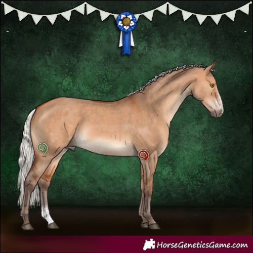 Horse Color:Silver Bay Dun Sabino Rabicano 