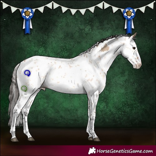 Horse Color:Bay Dun Sabino 